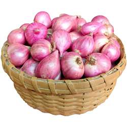 Onion Small